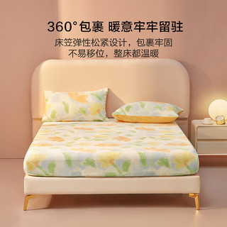 百丽丝家纺 眠雾茶霜床笠 眠雾茶霜床笠 120cm×195cm