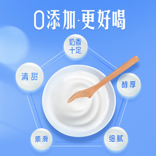MENGNIU 蒙牛 纯甄0添加原味风味酸奶200g×10包