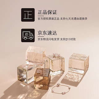 施华洛世奇（SWAROVSKI）HYPERBOLA无界之环 耳饰耳环耳钉女新年5684085 2