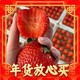 MSHYAN 慕尚红颜 巨无霸 红颜99草莓 2.5斤彩箱装单果35克+