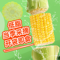 【嫩脆多汁】东北农嫂即食水果玉米段10袋甜玉米粒香嫩甜脆