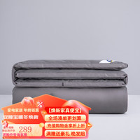 SOMERELLE 安睡宝 大豆七孔纤维空调被 抗菌冬款 甄选轻奢灰 150*200cm