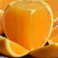 七公主果园 应季新鲜水果高山脐橙现摘现发橙子九月红橙夏橙手剥橙