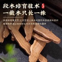 长白山灵芝片赤灵芝片林芝干货泡酒料灵芝茶泡水