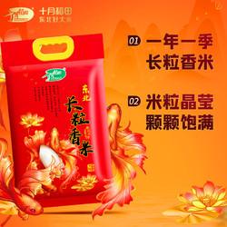 SHI YUE DAO TIAN 十月稻田 长粒香大米5kgx4袋东北大米囤40斤