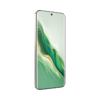 HONOR 荣耀 Magic6 5G手机 16GB+512GB 麦浪绿 骁龙8Gen3