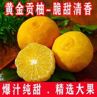 小兔村 洪江黄金贡柚净重5/9斤礼盒装新鲜柚子水果甜非丑橘粑粑