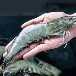 厄瓜多尔白虾盐冻 大虾（4斤/盒）40-50规格