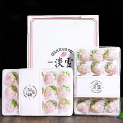 钱小二 淡雪草莓 1斤两盒单盒9-11粒礼盒装