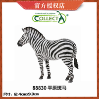 COLLECTA 动物模型玩具 88830 平原斑马