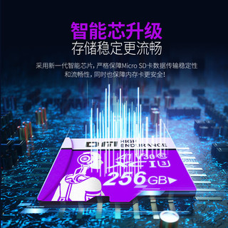 大迈（DM）256GB TF（MicroSD）存储卡 紫卡 C10 监控安防摄像头极速内存卡适用华为小米小蚁萤石普联360