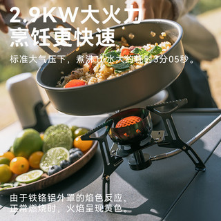 黑鹿（BLACKDEER）风眼双重防风炉 户外露营炉子 折叠便携炉头野外炉具炊具装备 风眼双重防风炉