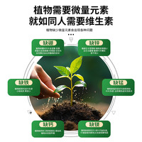 植物营养液绿植通用肥料盆栽水培花卉发财树绿萝兰花多肉花肥