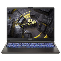 Hasee 神舟 战神T8 T8D94 16英寸游戏本（i9-14900HX、32GB、1TB、RTX4060）