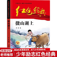 微山湖上 中国红色儿童文学经典系列 小三四五六年级