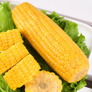 东北农嫂水果型玉米即食黄甜玉米穗白甜玉米穗玉米段真空玉米棒