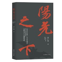 阳光之下（一部难得的“教科书式”的反腐败小说力作！）