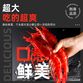 特大红魔虾新鲜活超大刺身级速冻非西班牙甜虾牡丹虾
