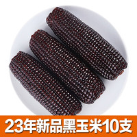 移动端、京东百亿补贴：馋半仙 23年新东北甜糯香玉米10支（单支220-260g）