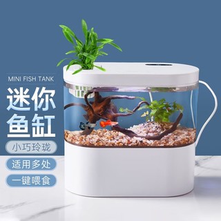 鱼缸水族箱客厅小型迷你桌面（循环底滤+无极光+一键喂食）