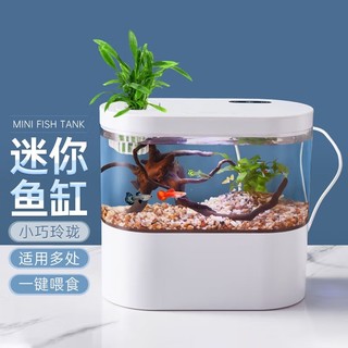 智汇 鱼缸水族箱客厅小型迷你桌面创意造景智能免换水生态玻璃金鱼缸 桌面鱼缸 低配
