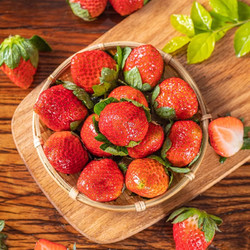 多荣大凉山草莓新鲜香甜高山露天草莓商用烘培草莓5斤装 精选红颜草莓 净重4.5斤 10g-15g