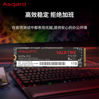 Asgard 阿斯加特 女武神系列 V3 1TB SSD固态硬盘 M.2接口(NVMe协议) PCIe 3.0