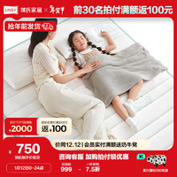 林氏家居家用天然椰棕床垫卧室单人床黄麻硬垫CD373A（厚6cm），1.2M*2M
