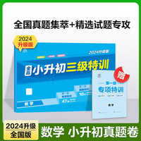 2024版全品小升初三级特训数学小升初系统总复习试卷小考冲刺专项训练试卷