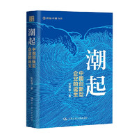 潮起 中国创新型企业的诞生 封凯栋  经济