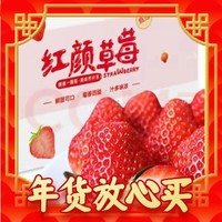 爆卖年货：风之郁 红颜99奶油草莓 2.5斤单果15-20g彩箱装