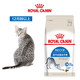 爆卖年货：ROYAL CANIN 皇家 I27室内成猫猫粮 10kg