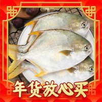 爆卖年货：XIANGTAI 翔泰 冷冻海南金鲳鱼1.2kg /3-4条 ASC认证 海鱼 生鲜鱼类 海鲜水产