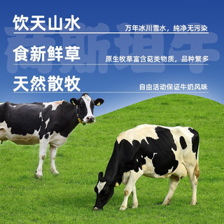 YIMUXIN 伊牧欣 新疆纯牛奶整箱200g*10盒 3.8g蛋白高品质 成人营养早餐奶