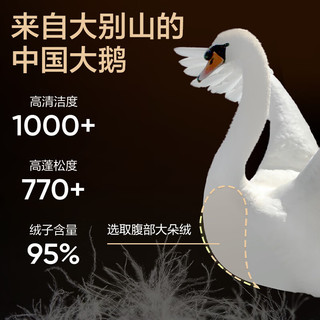 YANXUAN 网易严选 中国大鹅焱系列95白鹅绒高蓬长款-濡羽黑(95%白鹅绒）