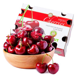 今日精品现货特价智利车厘子3j级25斤礼盒装顺丰空运