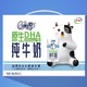  88VIP：yili 伊利 QQ星 原生DHA 纯牛奶　