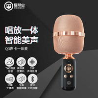 屁颠虫大巨蛋麦克风Q3无线蓝牙儿童话筒音响一体麦唱歌录音直播设备变声器家庭ktv双喇叭全香槟色
