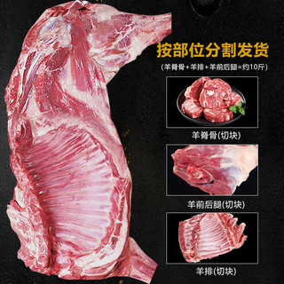 半只羊肉(羊腿4斤+羊排3斤+羊蝎子3斤) 火锅食材 净重10斤