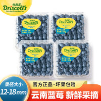 Driscoll's Only the Finest Berries 怡颗莓 蓝莓 中果 单果果径14-17mm 125g*4盒