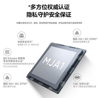 Xiaomi 小米 MI）小米智能门锁E20WIFI多种开锁方式指纹密码临时密码NFC钥匙门锁 小米智能门锁E20WIFI