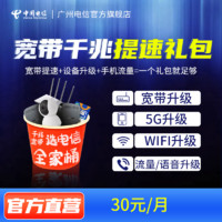 中国电信宽带老用户全家桶提速包 宽带提速+WiFi升级+手机流量 提速包30/月 一次性预存话费200元