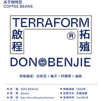 【Terraform】白色花柚子 巴拿马Lost Origin乳酸发酵瑰夏咖啡豆