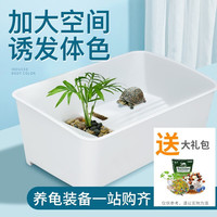 YEE乌龟缸带晒台养龟盆龟缸塑料水陆缸家用养乌龟发色缸龟盆 椰子树+鹅卵石 42.5*29*17CM 蓝色