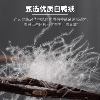 OBXO 源生活 A类抗菌70%白鸭绒羽绒被 冬季加厚被芯单人 填充1100g 150*200cm