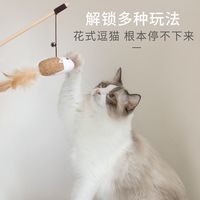 猫咪玩具木杆逗猫棒自嗨逗猫猫猫用品小猫羽毛逗猫棒耐抓耐咬