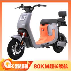 LUYUAN 绿源 ZK5-K5 电动自行车 TDT2171Z