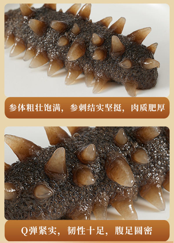 grandmazhang张奶奶正宗大连即食海参净重3斤礼盒装还有淡干海参推荐