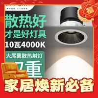 卡特加特 嵌入式射灯 10W 10个