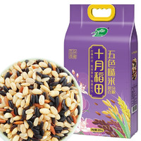 88VIP：SHI YUE DAO TIAN 十月稻田 五色糙米2.5kg 五色糙米 2.5kg